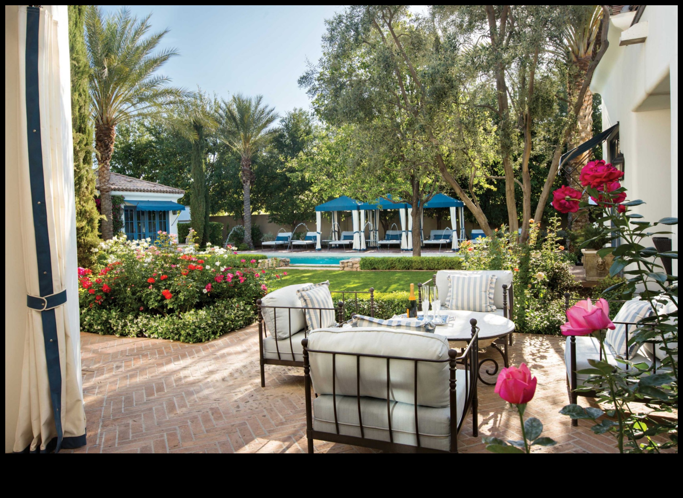 Sudraba dārzs starojoša miera oāze 5 Sudraba dārzs: zied starojošā elegance