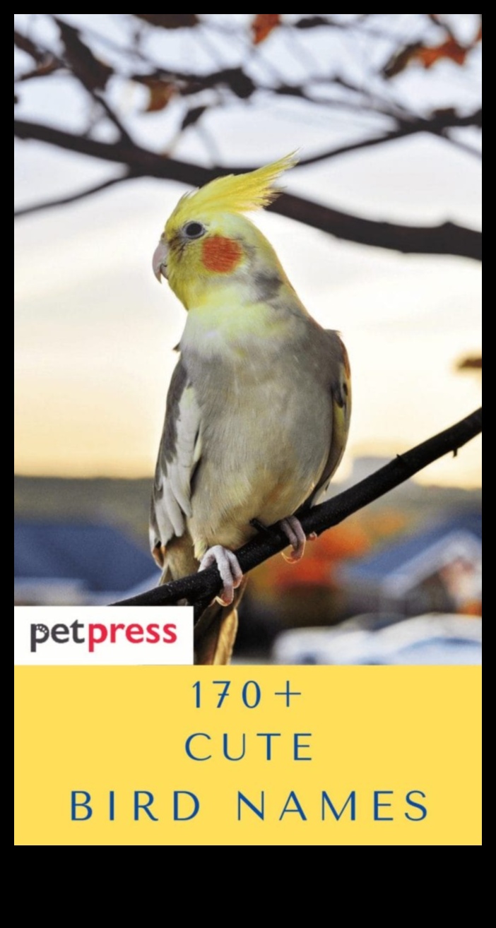 Chirpy Charms: putnu iedvesmoti mazuļu vārdi maziem tvītiem