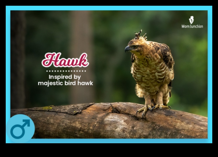 Chirpy Charms: putnu iedvesmoti mazuļu vārdi maziem tvītiem