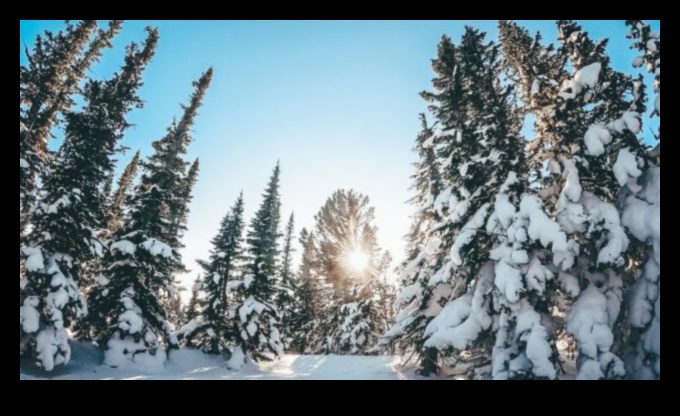 Ziemas čuksti: sezonāli pārsteigumi, kas sildīs sirdi