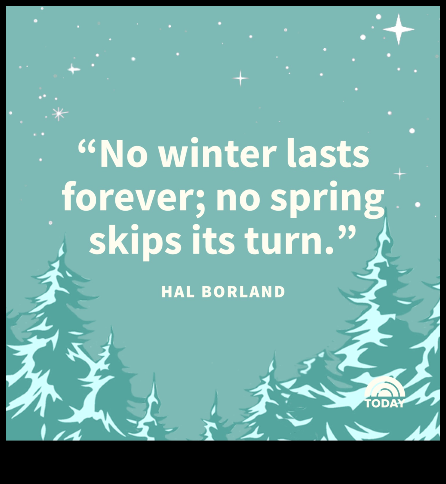 Ziemas čuksti: sezonāli pārsteigumi, kas sildīs sirdi