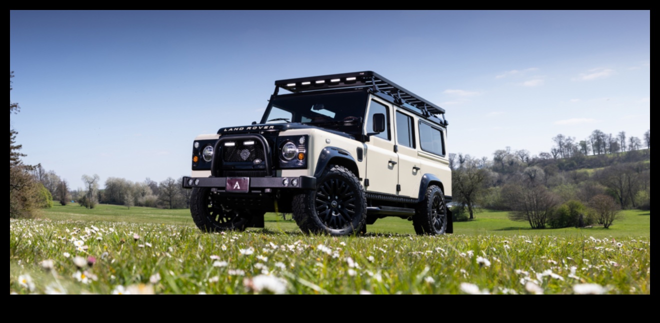 Pilsētas safari: tuksneša izpēte pilsētas modē