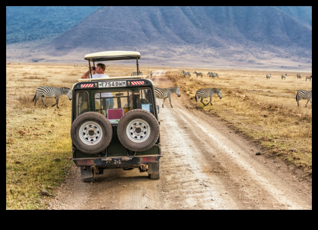 Pilsētas safari: tuksneša izpēte pilsētas modē