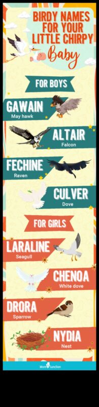Chirpy Charms: putnu iedvesmoti mazuļu vārdi maziem tvītiem