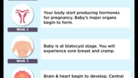 Maigas ķibeles: burvīgi apavi mazuļa pirmajiem soļiem