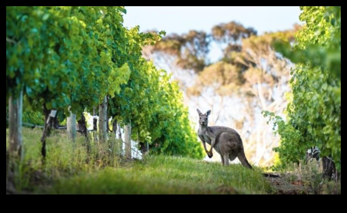 Pilsētas safari: tuksneša izpēte pilsētas modē