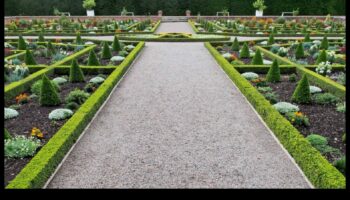 Sudraba dārzs: uzzied mirdzošā elegance