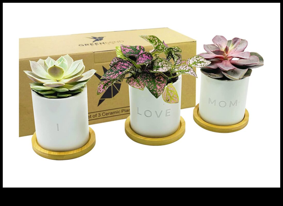 Zaļā dieviete: Dāvanu izlase Mātes dienai ar augu tematiku