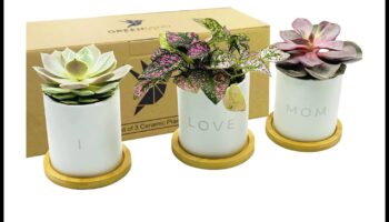 Zaļā dieviete: Dāvanu izlase Mātes dienai ar augu tematiku