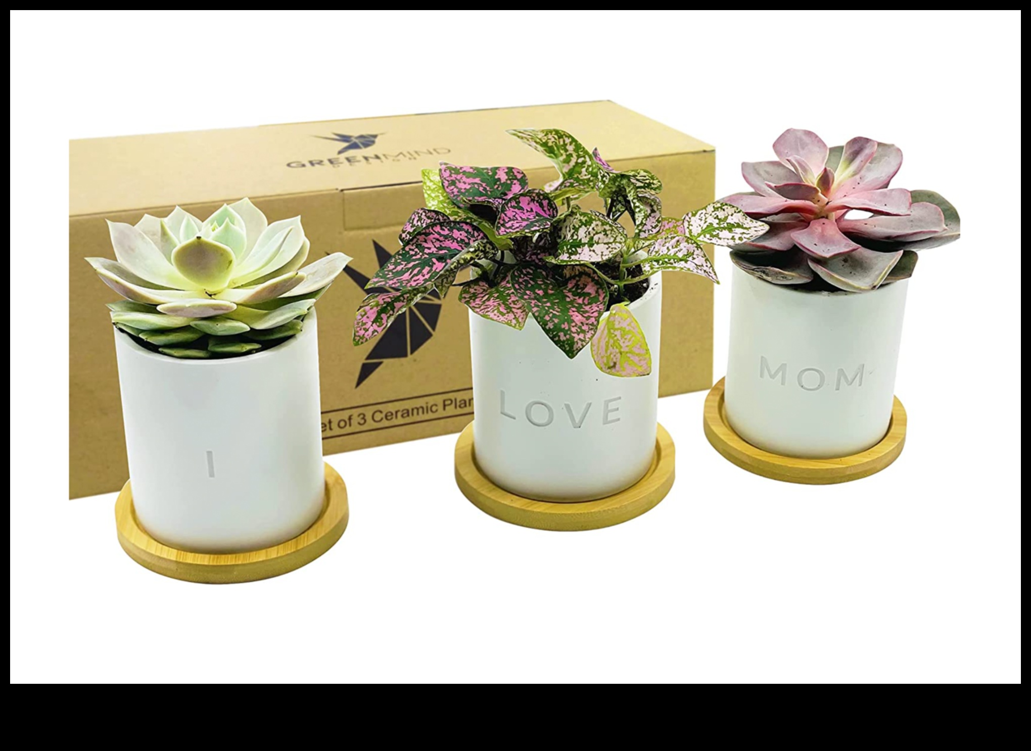 Zaļās dievietes augu tēmas dāvanu izlase Mātes dienai 5 Zaļā dieviete: Dāvanu izlase Mātes dienai ar augu tematiku